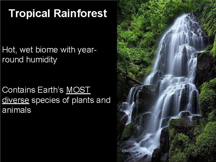 Tropical Rainforest Hot, wet biome with yearround humidity Contains Earth’s MOST diverse species of