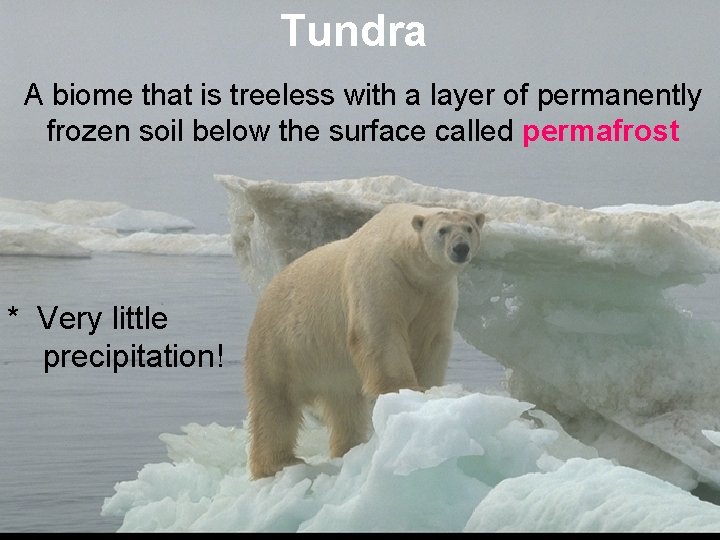 Tundra A biome that is treeless with a layer of permanently frozen soil below