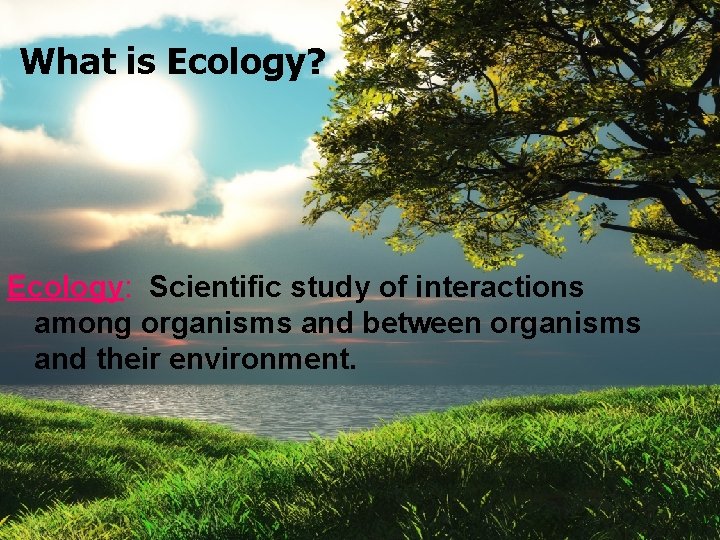 What is Ecology? Ecology: Scientific study of interactions among organisms and between organisms and
