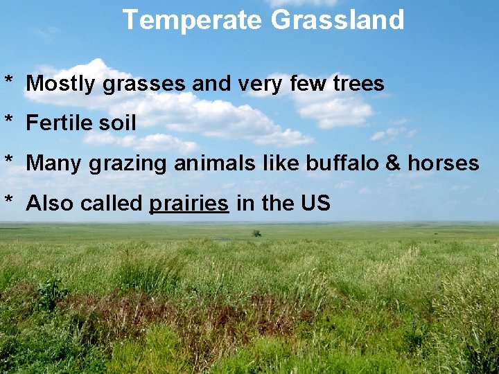 Temperate Grassland * Mostly grasses and very few trees * Fertile soil * Many