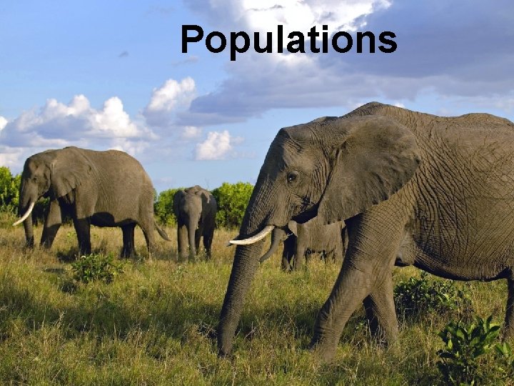 Populations 