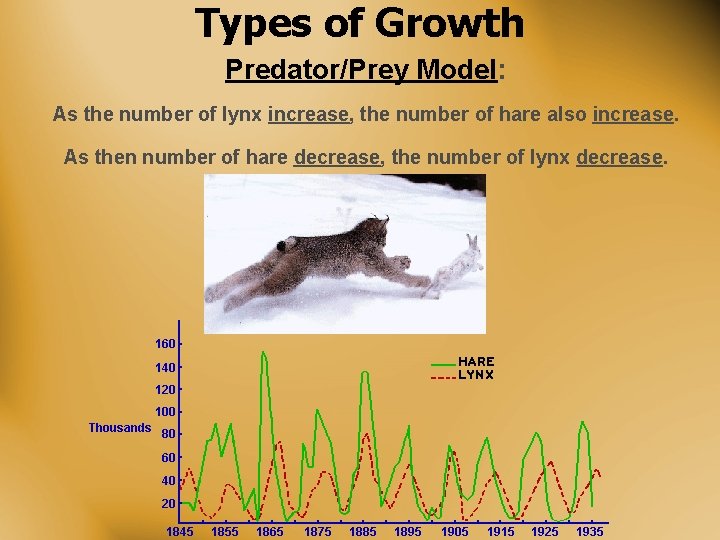 Types of Growth Predator/Prey Model: As the number of lynx increase, the number of