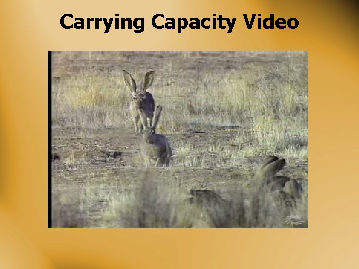 Carrying Capacity Video 