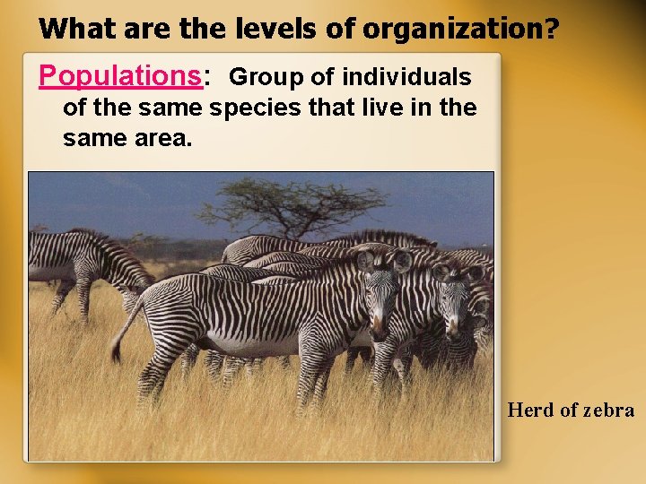 What are the levels of organization? Populations: Group of individuals of the same species