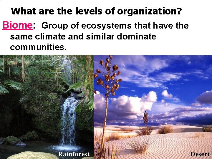 What are the levels of organization? Biome: Group of ecosystems that have the same