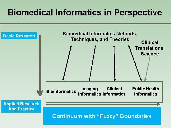 Biomedical Informatics in Perspective Basic Research Biomedical Informatics Methods, Techniques, and Theories Clinical Translational