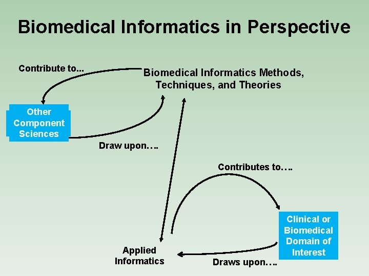 Biomedical Informatics in Perspective Contribute to. . . Biomedical Informatics Methods, Techniques, and Theories