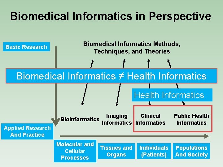 Biomedical Informatics in Perspective Basic Research Biomedical Informatics Methods, Techniques, and Theories Biomedical Informatics