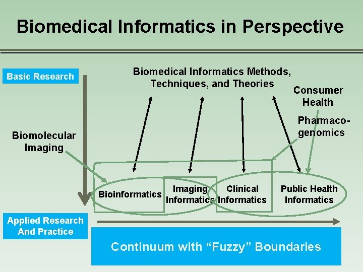 Biomedical Informatics in Perspective Basic Research Biomedical Informatics Methods, Techniques, and Theories Pharmacogenomics Biomolecular