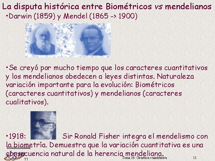 La disputa histórica entre Biométricos vs mendelianos • Darwin (1859) y Mendel (1865 ->