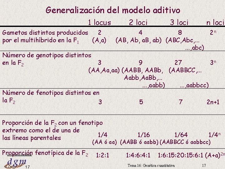 Generalización del modelo aditivo 1 locus 2 Gametos distintos producidos (A, a) por el