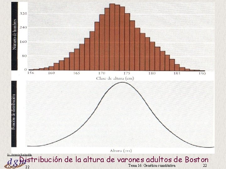 Dr. Antonio Barbadilla Distribución de la altura de varones adultos de Boston 22 Tema