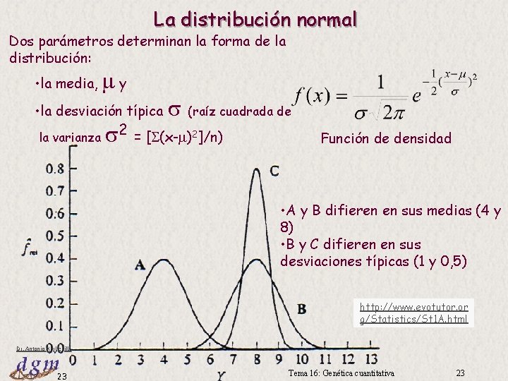 La distribución normal Dos parámetros determinan la forma de la distribución: • la media,