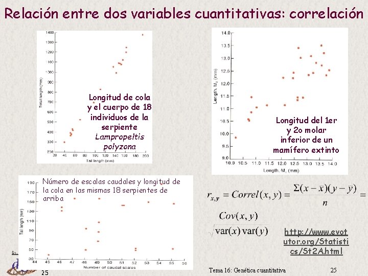 Relación entre dos variables cuantitativas: correlación Longitud de cola y el cuerpo de 18