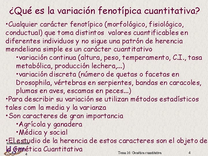 ¿Qué es la variación fenotípica cuantitativa? • Cualquier carácter fenotípico (morfológico, fisiológico, conductual) que