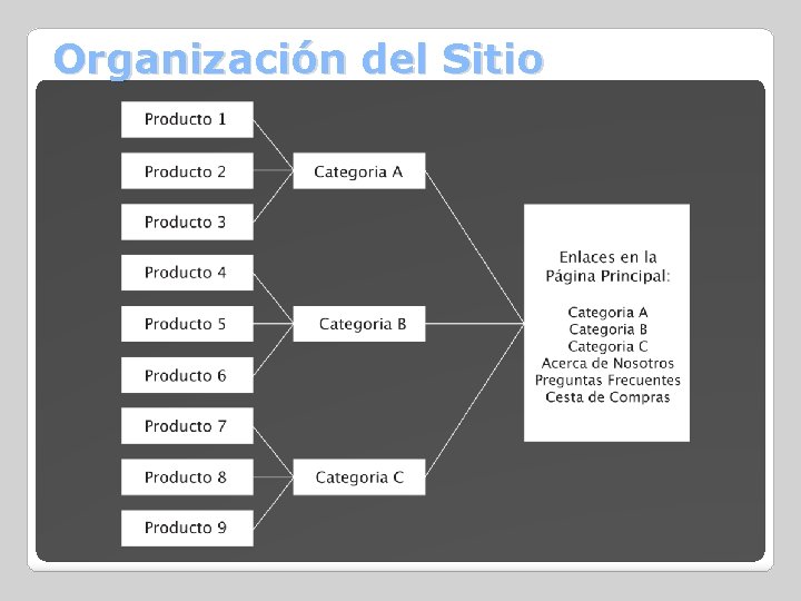 Organización del Sitio 