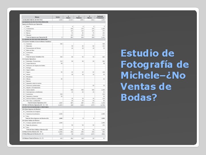 Estudio de Fotografía de Michele–¿No Ventas de Bodas? 