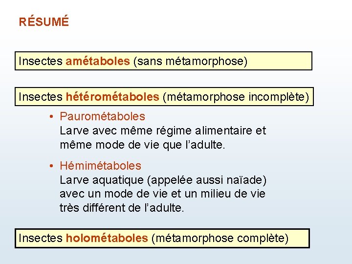 RÉSUMÉ Insectes amétaboles (sans métamorphose) Résumé Insectes hétérométaboles (métamorphose incomplète) • Paurométaboles Larve avec