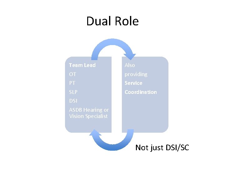 Dual Role Team Lead OT Also providing PT SLP DSI ASDB Hearing or Vision