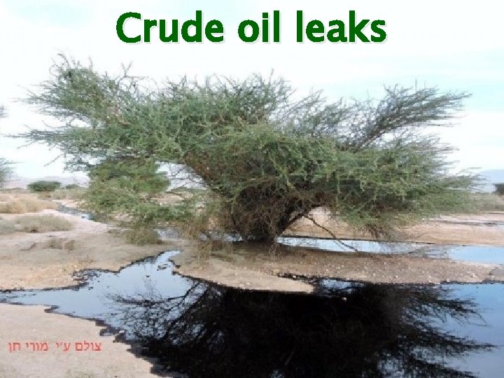Crude oil leaks 