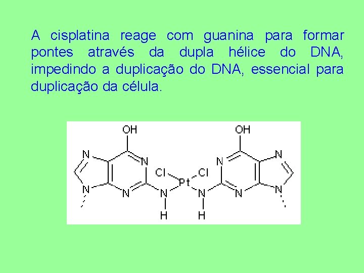 A cisplatina reage com guanina para formar pontes através da dupla hélice do DNA,