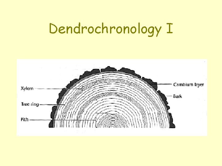 Dendrochronology I 