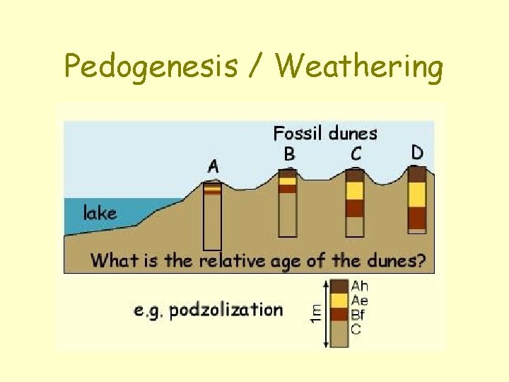 Pedogenesis / Weathering 
