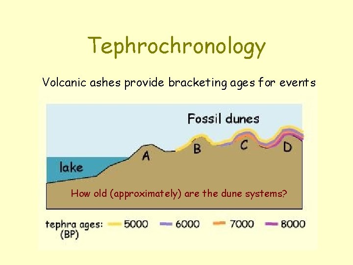 Tephrochronology Volcanic ashes provide bracketing ages for events How old (approximately) are the dune