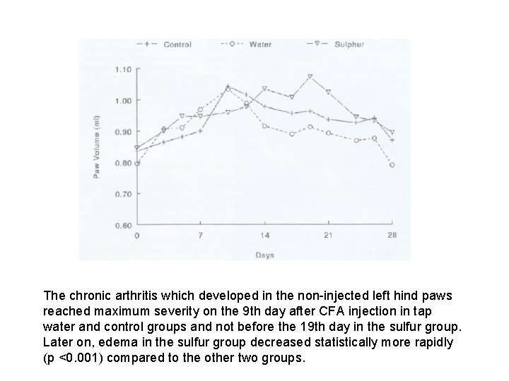 The chronic arthritis which developed in the non-injected left hind paws reached maximum severity