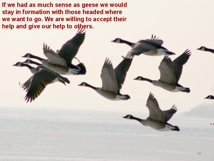 If we had as much sense as geese we would stay in formation with