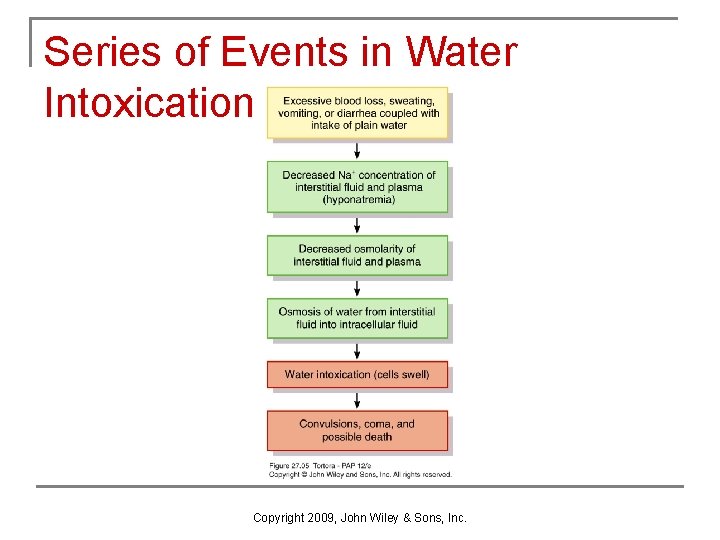 Series of Events in Water Intoxication Copyright 2009, John Wiley & Sons, Inc. 