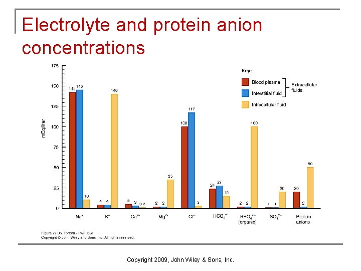 Electrolyte and protein anion concentrations Copyright 2009, John Wiley & Sons, Inc. 