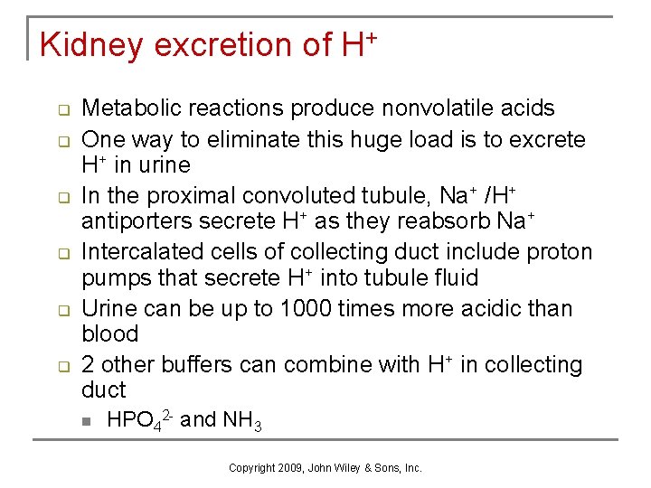 Kidney excretion of H+ q q q Metabolic reactions produce nonvolatile acids One way