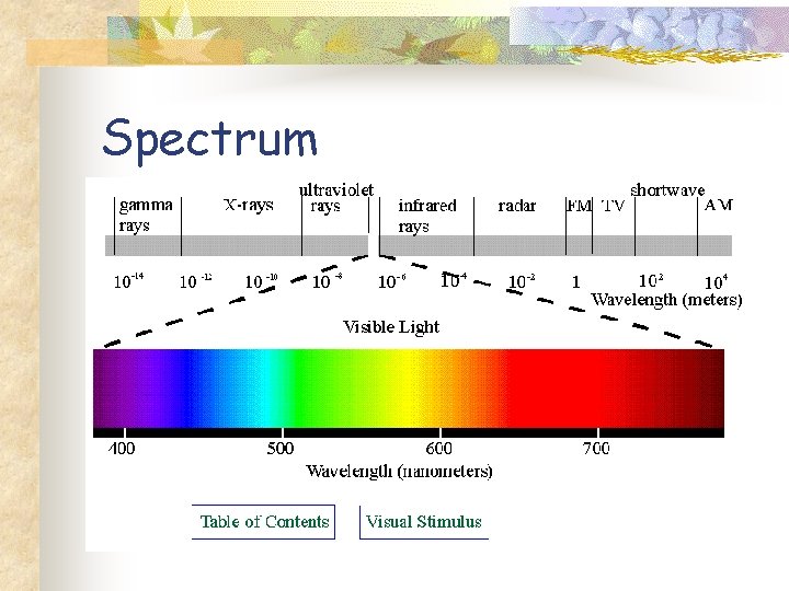 Spectrum 