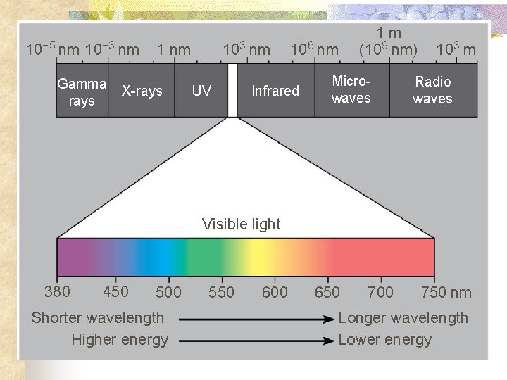 10− 5 nm 10− 3 nm Gamma rays 103 nm 1 nm X-rays UV