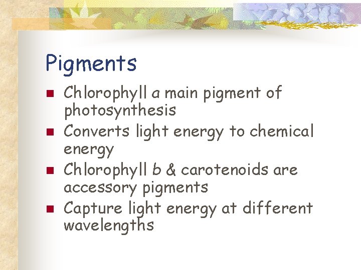 Pigments n n Chlorophyll a main pigment of photosynthesis Converts light energy to chemical