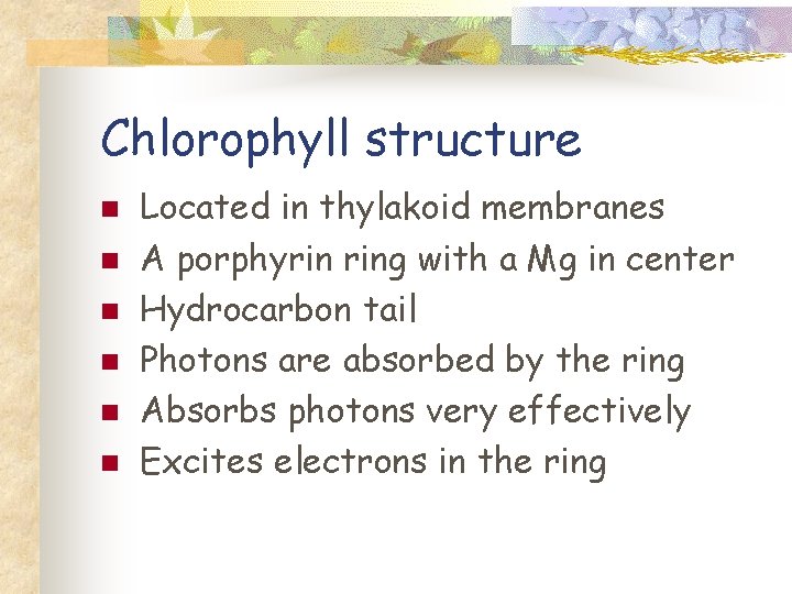 Chlorophyll structure n n n Located in thylakoid membranes A porphyrin ring with a