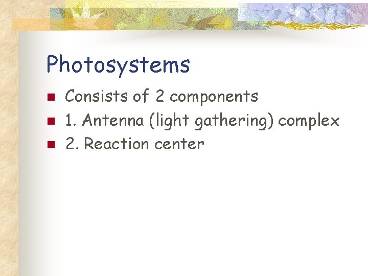 Photosystems n n n Consists of 2 components 1. Antenna (light gathering) complex 2.