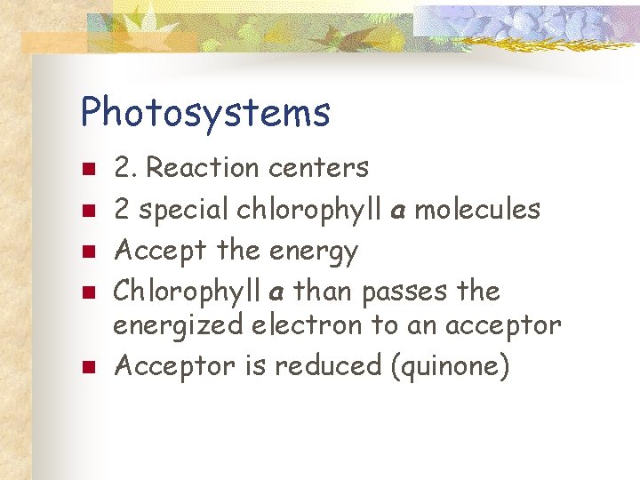 Photosystems n n n 2. Reaction centers 2 special chlorophyll a molecules Accept the