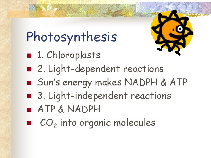 Photosynthesis n n n 1. Chloroplasts 2. Light-dependent reactions Sun’s energy makes NADPH &