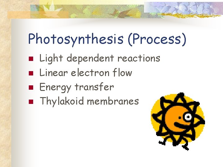 Photosynthesis (Process) n n Light dependent reactions Linear electron flow Energy transfer Thylakoid membranes