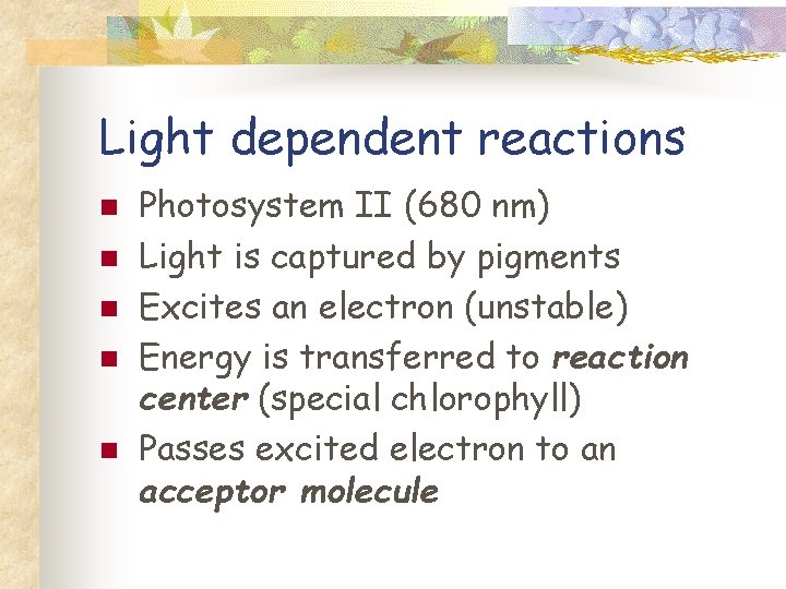 Light dependent reactions n n n Photosystem II (680 nm) Light is captured by