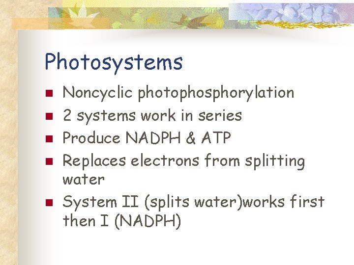 Photosystems n n n Noncyclic photophosphorylation 2 systems work in series Produce NADPH &