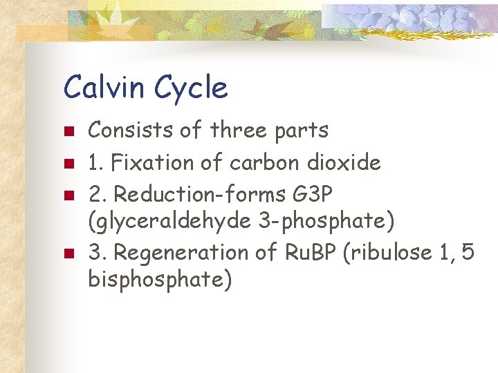 Calvin Cycle n n Consists of three parts 1. Fixation of carbon dioxide 2.
