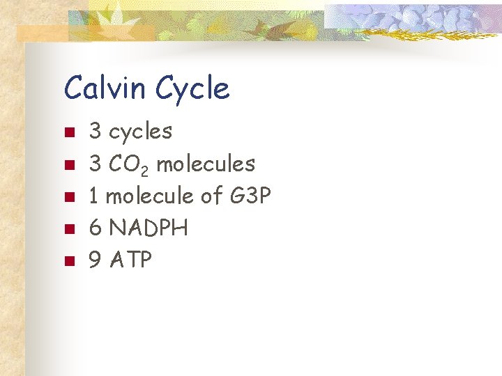 Calvin Cycle n n n 3 cycles 3 CO 2 molecules 1 molecule of