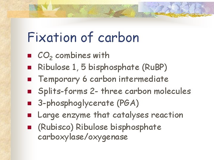 Fixation of carbon n n n CO 2 combines with Ribulose 1, 5 bisphosphate