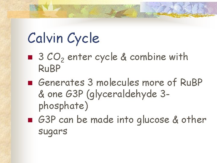 Calvin Cycle n n n 3 CO 2 enter cycle & combine with Ru.