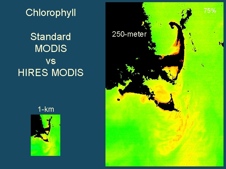 Chlorophyll Standard MODIS vs HIRES MODIS 1 -km 75% 250 -meter 