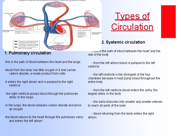 Types of Circulation 2. Systemic circulation 1. Pulmonary circulation - this is the path