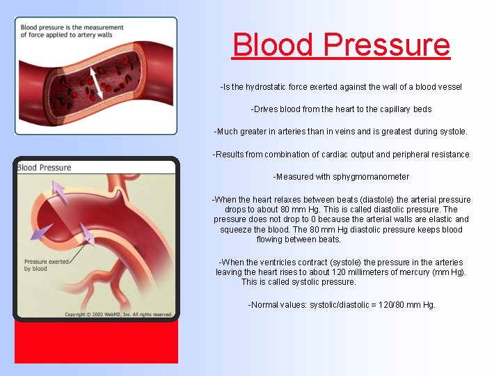 Blood Pressure -Is the hydrostatic force exerted against the wall of a blood vessel
